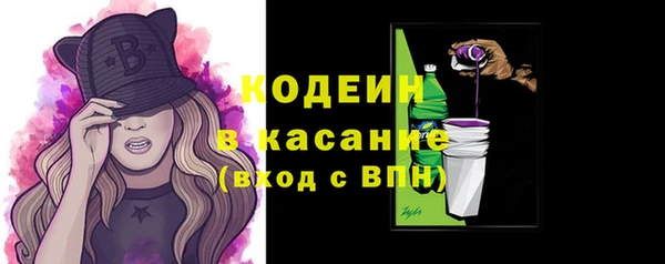 гидра Арсеньев