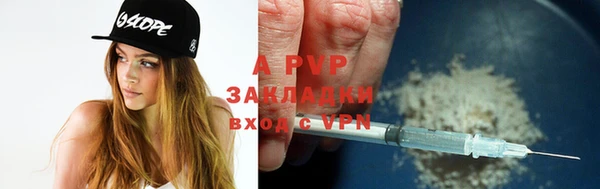 гидра Арсеньев