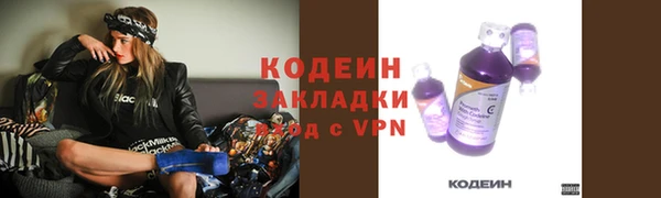 гидра Арсеньев