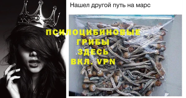 гидра Арсеньев