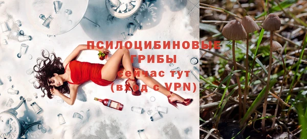круглые Аркадак
