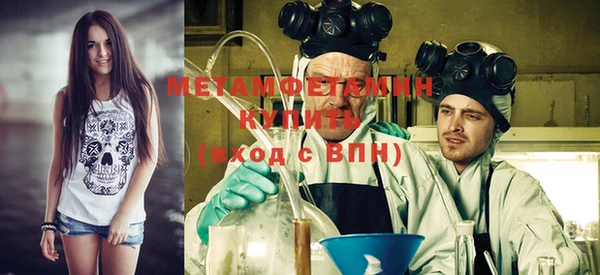индика Ладушкин