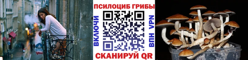 Купить закладки  Белорецк  Псилоцибиновые грибы ЛСД 